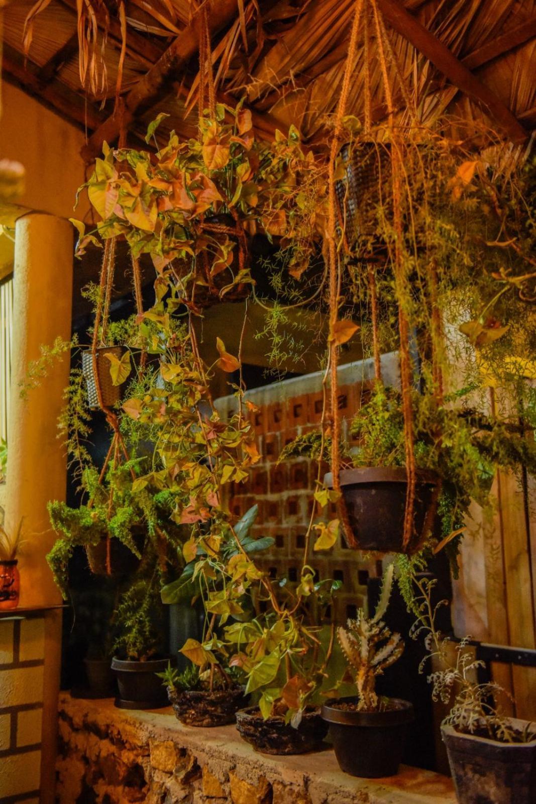 Ella Brown House Ξενοδοχείο Εξωτερικό φωτογραφία
